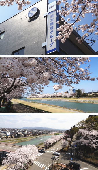 本社周辺の桜が満開となりました